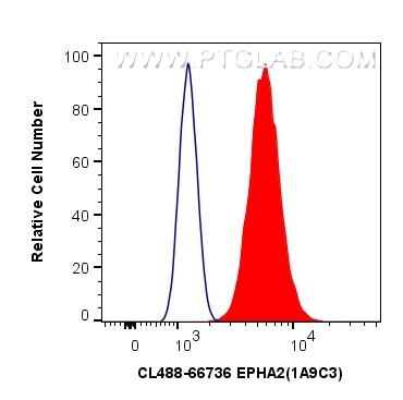 EPHA2 Antibody in Flow Cytometry (Flow)