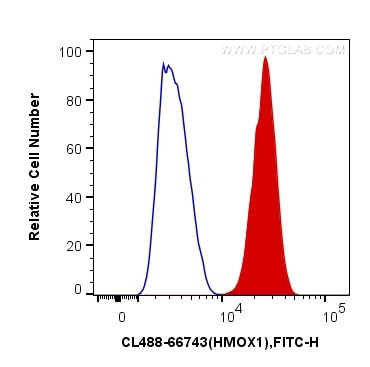 HO-1/HMOX1 Antibody in Flow Cytometry (Flow)