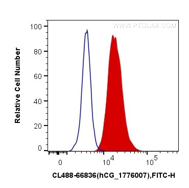 NeuN Antibody in Flow Cytometry (Flow)