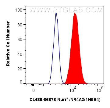 NR4A2 Antibody in Flow Cytometry (Flow)