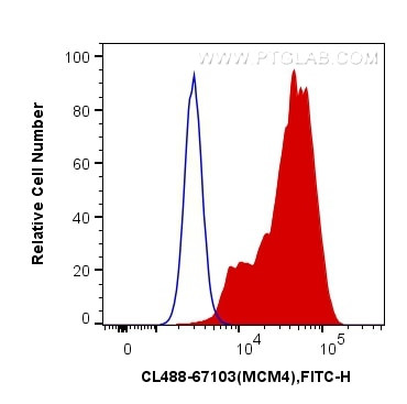 MCM4 Antibody in Flow Cytometry (Flow)