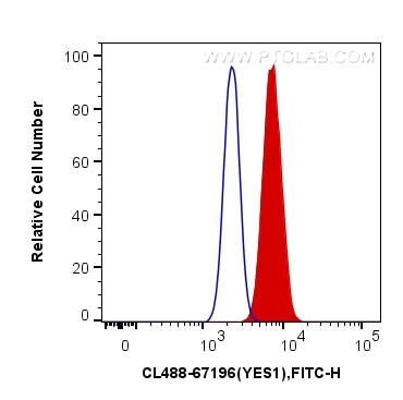 YES1 Antibody in Flow Cytometry (Flow)