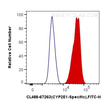 CYP2E1 Antibody in Flow Cytometry (Flow)