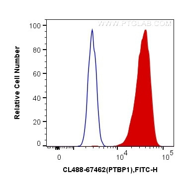 PTBP1 Antibody in Flow Cytometry (Flow)