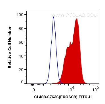 EXOSC9 Antibody in Flow Cytometry (Flow)