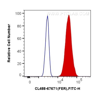 FER Antibody in Flow Cytometry (Flow)