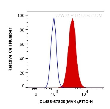 MVK Antibody in Flow Cytometry (Flow)