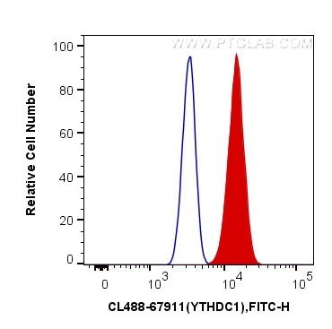 YTHDC1 Antibody in Flow Cytometry (Flow)