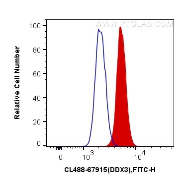 DDX3 Antibody in Flow Cytometry (Flow)