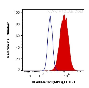 MPG Antibody in Flow Cytometry (Flow)