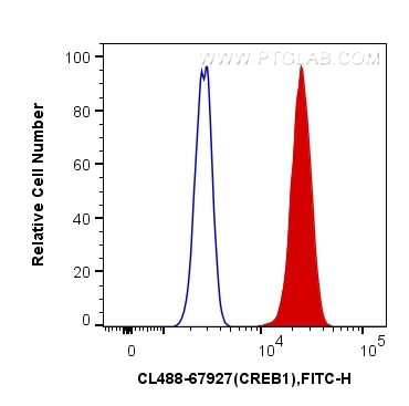 CREB1 Antibody in Flow Cytometry (Flow)