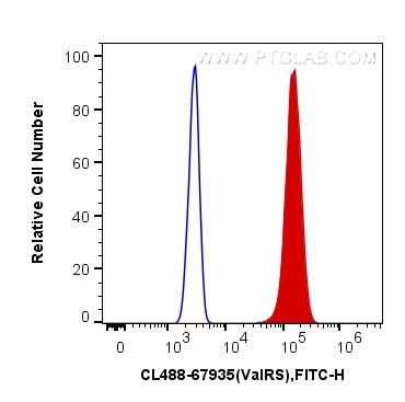 ValRS Antibody in Flow Cytometry (Flow)