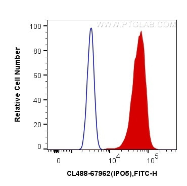 IPO5 Antibody in Flow Cytometry (Flow)