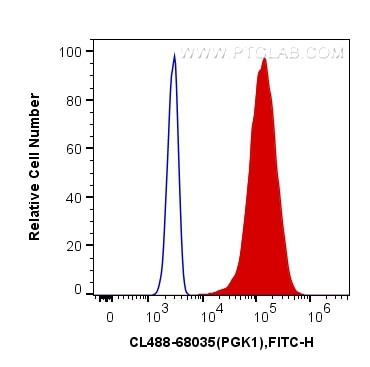 PGK1 Antibody in Flow Cytometry (Flow)