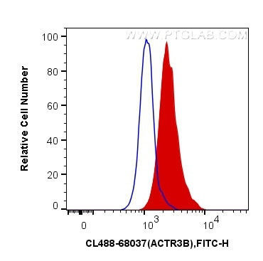 ACTR3B Antibody in Flow Cytometry (Flow)