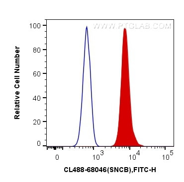 SNCB Antibody in Flow Cytometry (Flow)