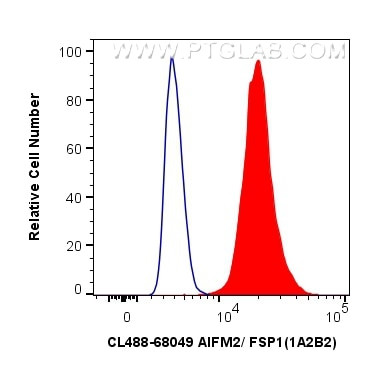 AIFM2/FSP1 Antibody in Flow Cytometry (Flow)