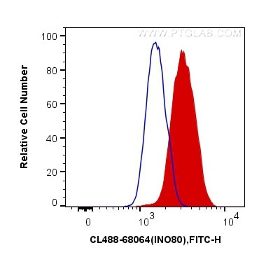 INO80 Antibody in Flow Cytometry (Flow)