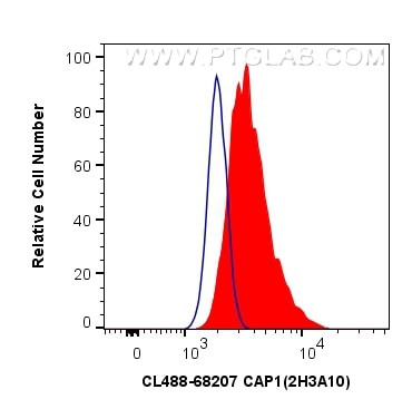 CAP1 Antibody in Flow Cytometry (Flow)