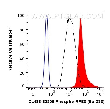 Phospho-S6 Ribosomal protein (Ser236) Antibody in Flow Cytometry (Flow)