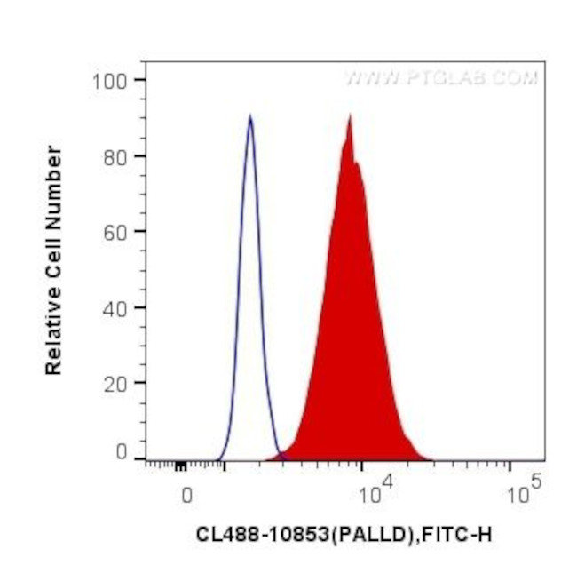 Palladin Antibody in Flow Cytometry (Flow)