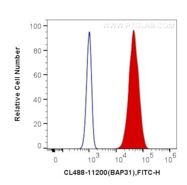 BAP31 Antibody in Flow Cytometry (Flow)