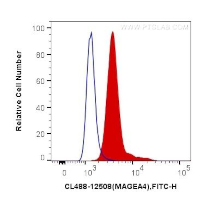 MAGEA4 Antibody in Flow Cytometry (Flow)