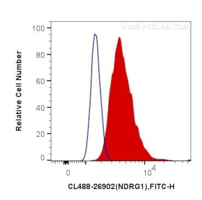 NDRG1 Antibody in Flow Cytometry (Flow)