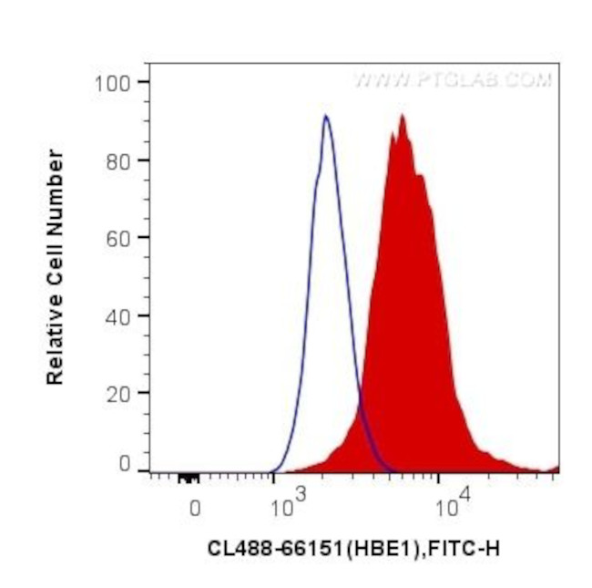 HBE1 Antibody in Flow Cytometry (Flow)