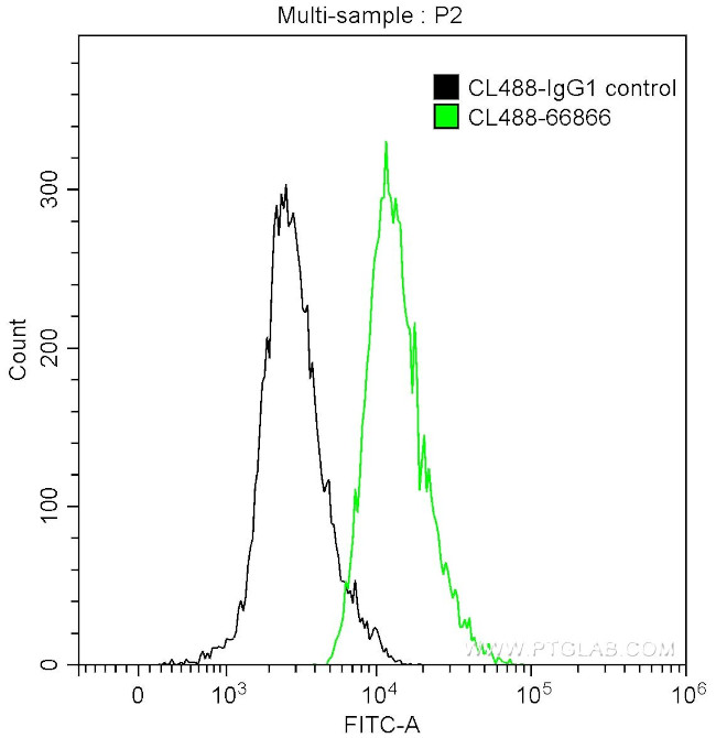 CD81 Antibody in Flow Cytometry (Flow)