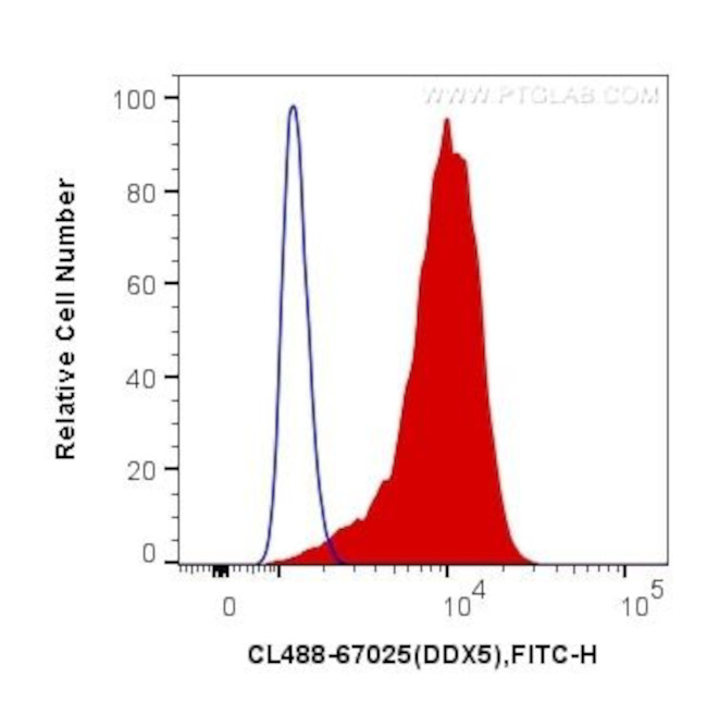 DDX5 Antibody in Flow Cytometry (Flow)