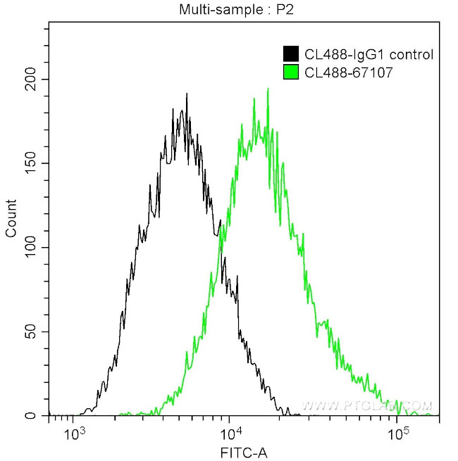 Calpastatin Antibody in Flow Cytometry (Flow)