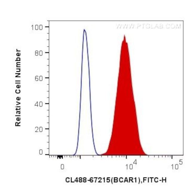 BCAR1 Antibody in Flow Cytometry (Flow)