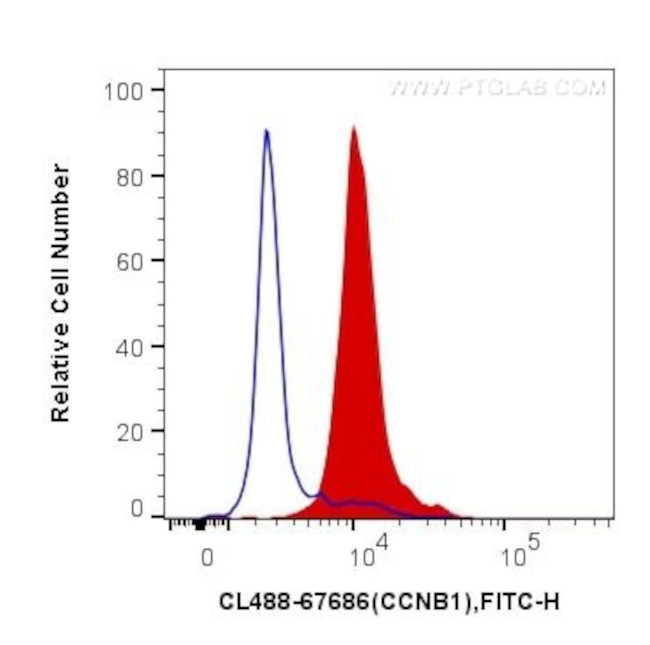 cyclin B1 Antibody in Flow Cytometry (Flow)