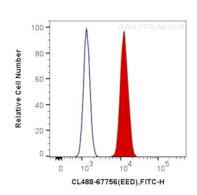 EED Antibody in Flow Cytometry (Flow)