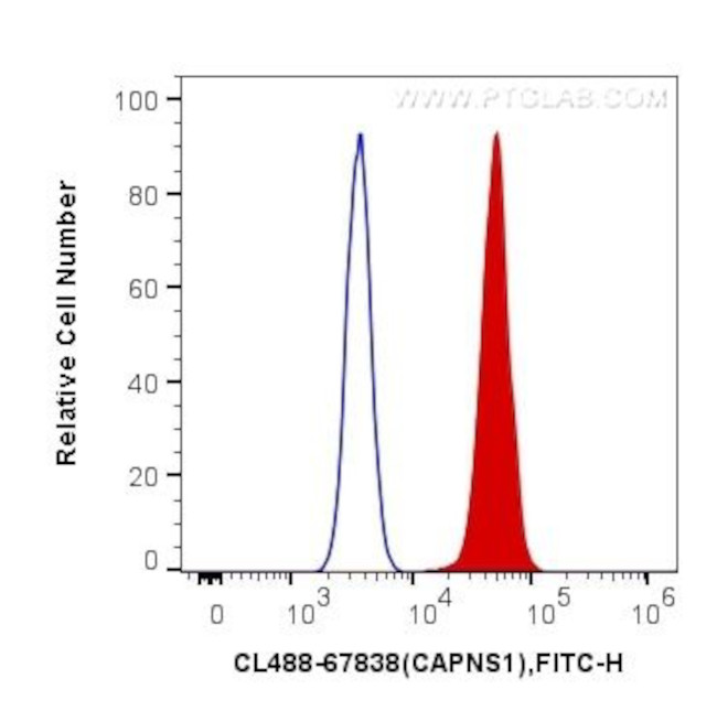 CAPNS1 Antibody in Flow Cytometry (Flow)