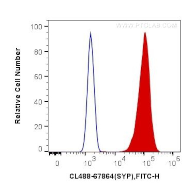 Synaptophysin Antibody in Flow Cytometry (Flow)