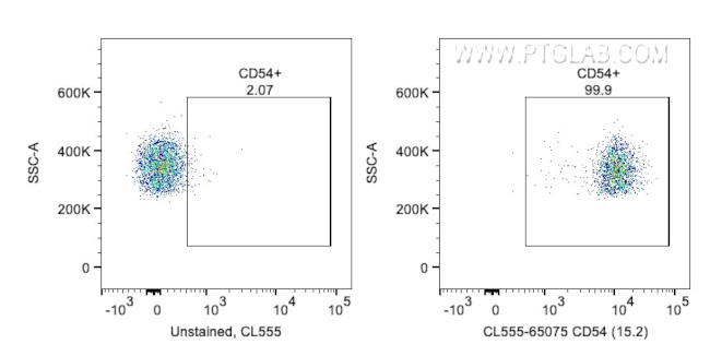 CD54 (ICAM-1) Antibody in Flow Cytometry (Flow)