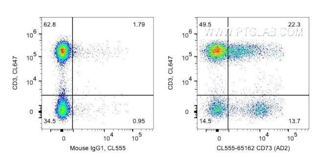 CD73 Antibody in Flow Cytometry (Flow)