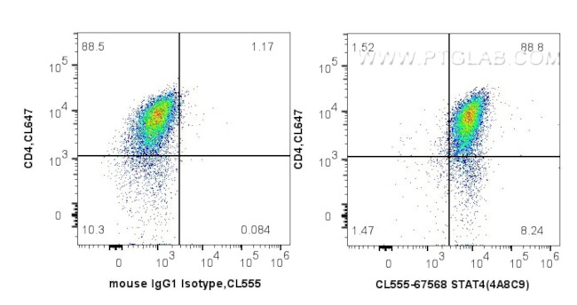 STAT4 Antibody in Flow Cytometry (Flow)