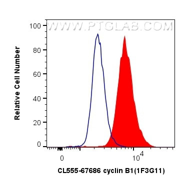 cyclin B1 Antibody in Flow Cytometry (Flow)