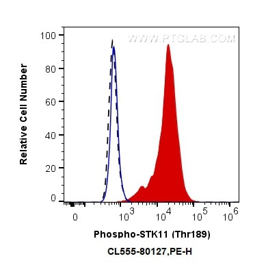 Phospho-STK11 (Thr189) Antibody in Flow Cytometry (Flow)