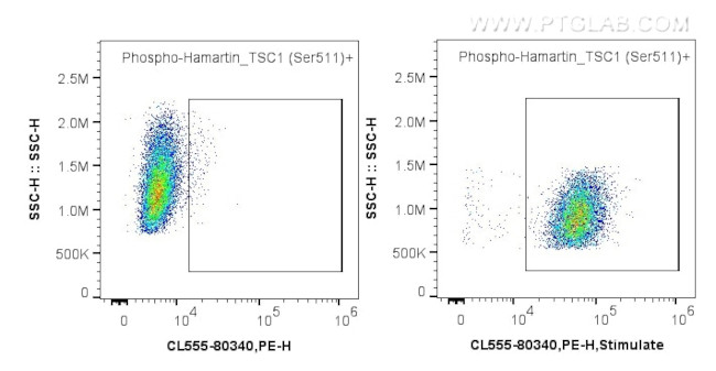 Phospho-Hamartin/TSC1 (Ser511) Antibody in Flow Cytometry (Flow)