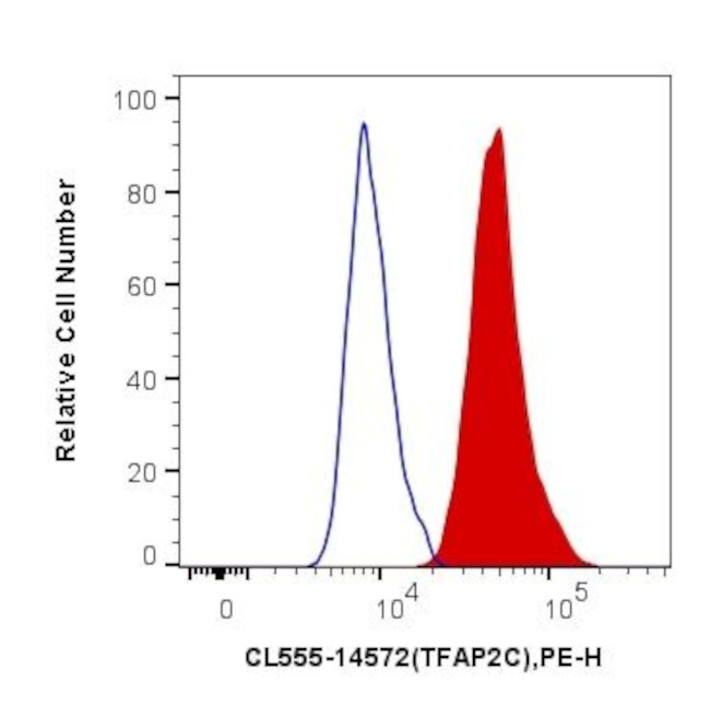 TFAP2C Antibody in Flow Cytometry (Flow)