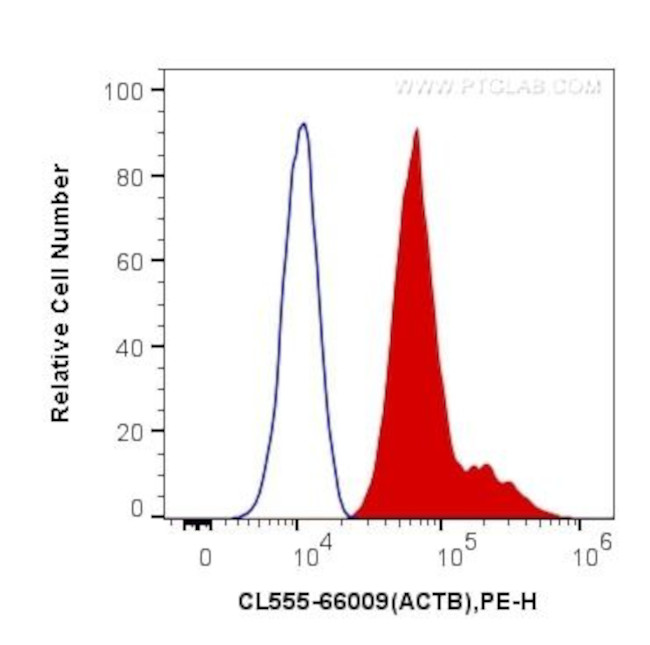 Beta Actin Antibody in Flow Cytometry (Flow)