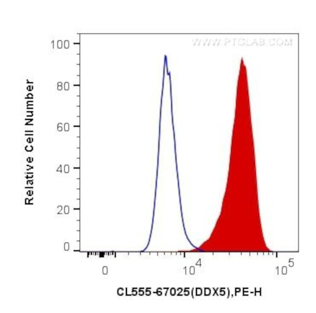 DDX5 Antibody in Flow Cytometry (Flow)