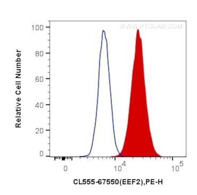 EEF2 Antibody in Flow Cytometry (Flow)