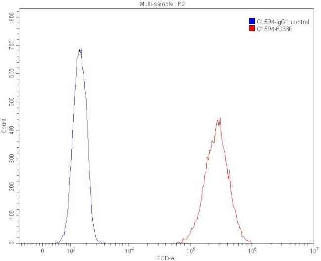 Vimentin Antibody in Flow Cytometry (Flow)