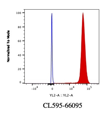 Lamin B1 Antibody in Flow Cytometry (Flow)