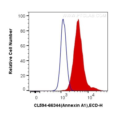 Annexin A1 Antibody in Flow Cytometry (Flow)